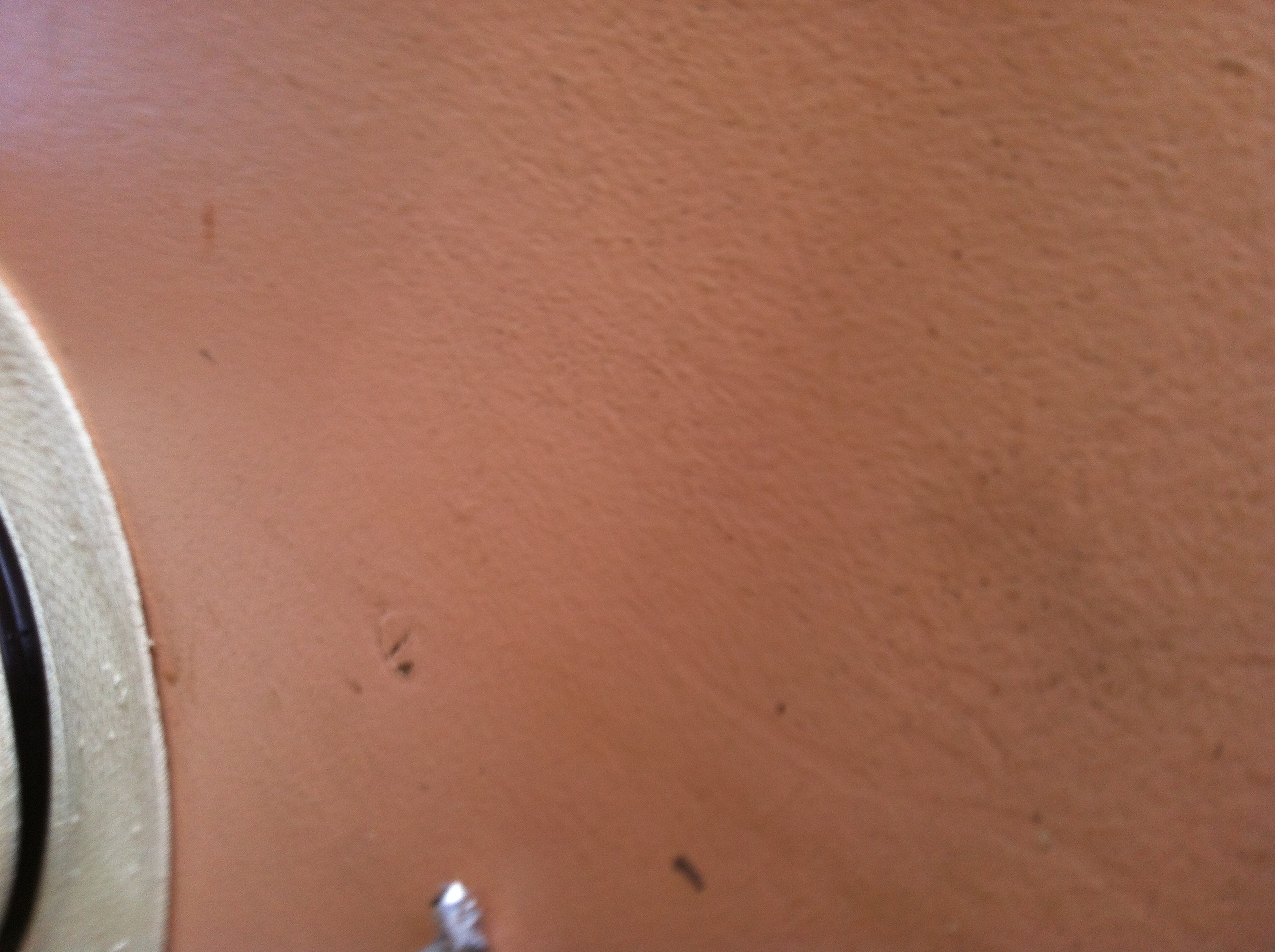 IMG_0107.JPG (2).JPG